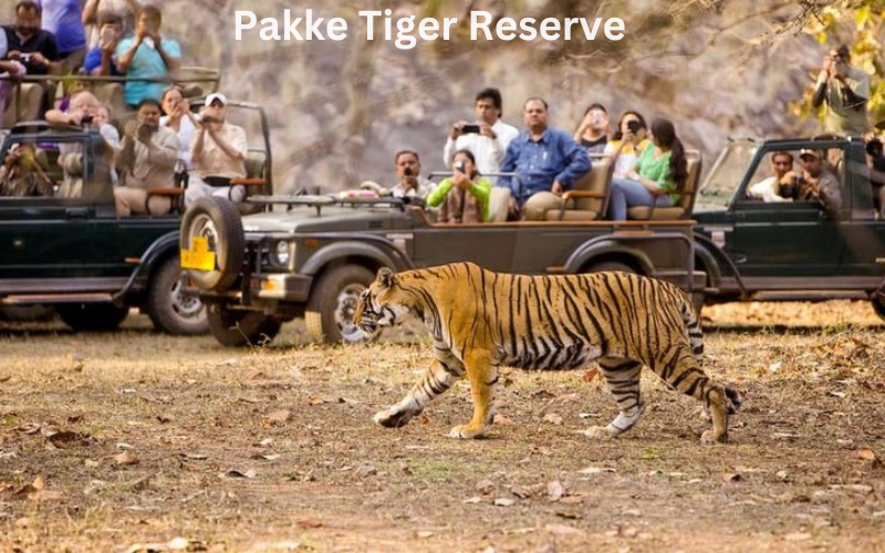 भारत में नाइट सफारी
